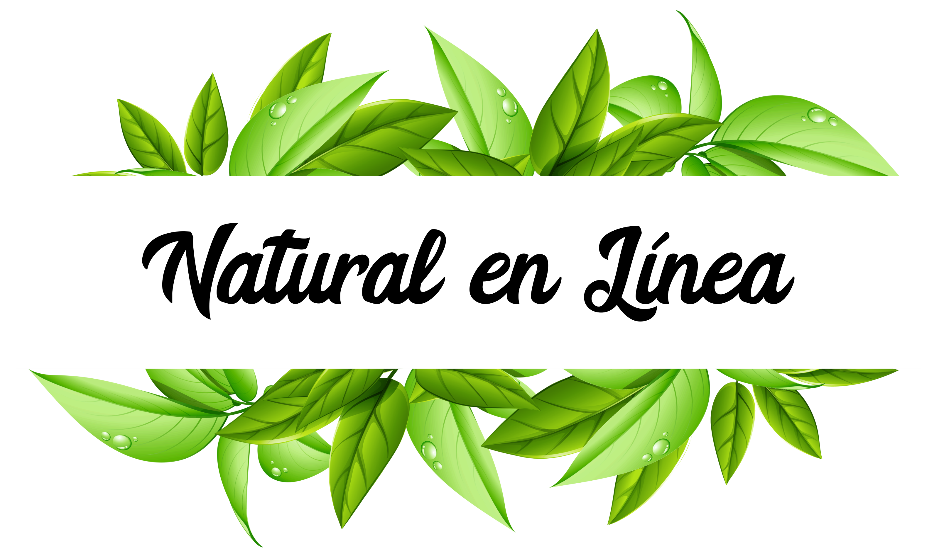 Concepto Natural Uruapan – Tienda Oficial